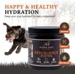 Alpha Dog Nutrition Electrolytes for Dogs - PhD Formulated Hydration Supplement with Beef Flavor for Active Canines - Versatile Powder for Dehydration Recovery and Stamina - Image 2