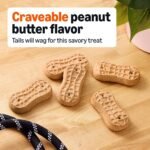 Amazon Basics Crunchy Dog Biscuits Peanut Butter Flavor Dog Treats 5 lb. Box - Image 2