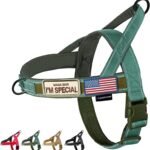 Annchwool No Pull Dog Harness with Soft Padded Handle & Front Clip(Green,L)