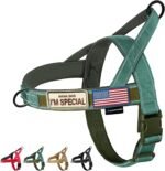 Annchwool No Pull Dog Harness with Soft Padded Handle & Front Clip(Green,L)