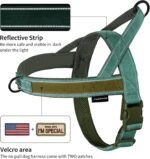 Annchwool No Pull Dog Harness with Soft Padded Handle & Front Clip(Green,L) - Image 2