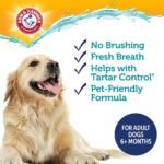 Arm & Hammer Complete Care Dog Dental Water Additive, 16 Fl Oz, 3-Pack - Image 2