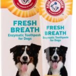 Arm & Hammer Fresh Breath Enzymatic Dog Toothpaste, Vanilla Ginger, 2.5 Oz