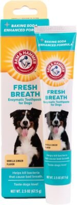 Arm & Hammer Fresh Breath Enzymatic Dog Toothpaste, Vanilla Ginger, 2.5 Oz