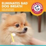 Arm & Hammer Fresh Breath Enzymatic Dog Toothpaste, Vanilla Ginger, 2.5 Oz - Image 2
