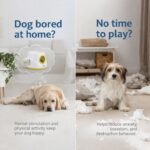 Automatic Dog Ball Launcher, Interactive Fetch Machine for Small Medium Dog - Image 2