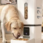 Automatic Dog Feeder Large Breed: 12L/50 Cup Capacity for Kibble up to 20mm
