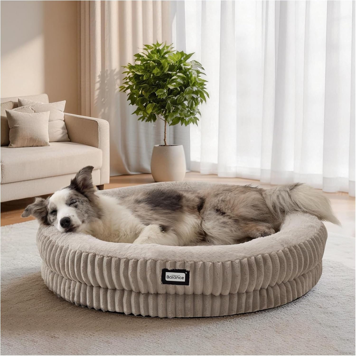 BALANCE Donut Dog Bed, 36 Inches Round Dog Bed Large Size Dogs Washable, Orthopedic Calming Dogs Beds for Kitten, Fluffy Plush Faux Fur Pet Bed with Anti-Slip Bottom BALANCE Donut Dog Bed, 36 Inches Round Dog Bed Large Size Dogs Washable, Orthopedic Calming Dogs Beds for Kitten, Fluffy Plush Faux Fur Pet Bed with Anti-Slip Bottom