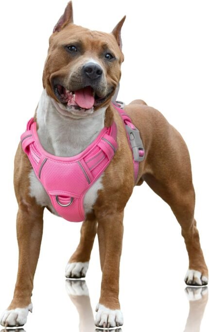 BARKBAY Dog Harness for Large Dogs No Pull Dog Vest ID Tag Pocket
