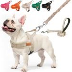 BEAUTYZOO Dog Harness Medium Sized and Leash Set, No Pull Step in Pet Vest