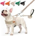 BEAUTYZOO Dog Harness Medium Sized and Leash Set, No Pull Step in Pet Vest