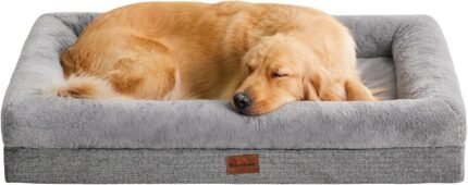 BFPETHOME Dog Beds for Small Dogs, Washable Dog Bed with Sides, Orthopedic Medium Sized Soft Mats with Removable Cover & Waterproof Pet Mat for Pet