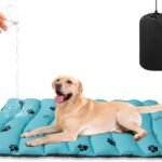 BINGPET Outdoor Travel Dog Bed, Double-Sided Waterproof Mat with Carry Bag