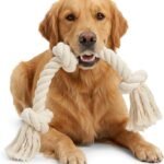 Barida Natural White Cotton Tough Dog Rope Toy for Medium & Large Dogs. Non Toxic and Premium Rope Toys for Dogs.