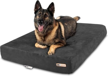 Barker Beds XL Orthopedic Dog Bed - 7" Memory Foam Mattress - 75-120 lbs - Joint Pain & Arthritis Support - Vet Recommended, Washable Cover - Made in USA - 52"x36"x7" - Charcoal