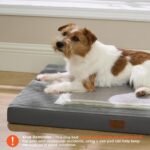 Bedsure ComfyFleece Large Dog Bed for Crate with Washable Cover, 35x22 - Image 2