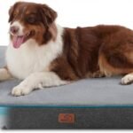 Bedsure Memory Foam Dog Beds Large Sized Dog, Orthopedic Crate Pads, 35×22