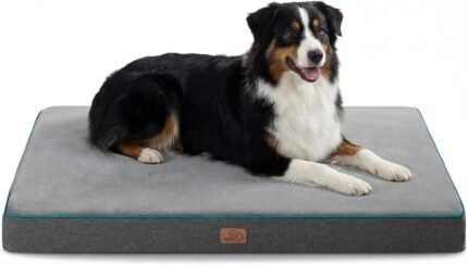 Bedsure Memory Foam XL Dog Bed, Orthopedic Crate Pads, 41x29