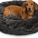 Best Friends by Sheri Original Calming Donut Dog Bed, Mink Dark Gray, 23″