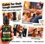 Billion Pets - Hemp Oil for Dogs and Cats - Helps with Anxiety, Pain, Stress, Sleep, Arthritis, Seizures Relief - Hip and Joint Support - Calming Drops - Image 2