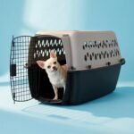 Black and Gray Hard‑Sided Plastic Pet Carrier, TSA Approved Travel Kennel with Ventilation & Built‑in Handle, Recycled Material Crate for Small Pets - Image 2