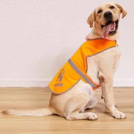 Blaze Orange Reflective Dog Safety Vest for Walking & Jogging L