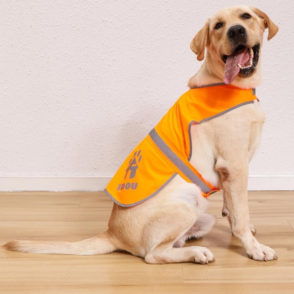 Blaze Orange Reflective Dog Safety Vest for Walking & Jogging L Blaze Orange Reflective Dog Safety Vest for Walking & Jogging L