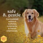 Burt's Bees Dog Paw & Nose Lotion, Rosemary & Olive Oil, 4 Fl Oz (118 mL) - Image 2