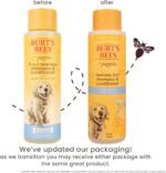 Burts Bees Tearless Puppy Shampoo & Conditioner with Buttermilk, 16 Fl Oz - Image 2