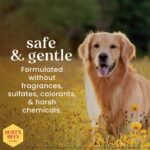 Burts Bees for Pets Oatmeal Dog Conditioner, Fragrance-Free, 10 Fl Oz, 2-Pk - Image 2