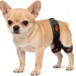 CHAMIN Dog Hip Brace, Support for Hip Dysplasia, Joint Pain Relief(Large)