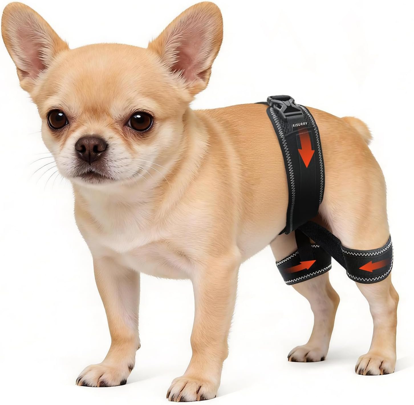CHAMIN Dog Hip Brace, Support for Hip Dysplasia, Joint Pain Relief(Large) CHAMIN Dog Hip Brace, Support for Hip Dysplasia, Joint Pain Relief(Large)