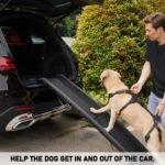 COODEO Mobility Dog Lift Harness, Support Sling & Walking Sling for Dogs, Pet Rear Leg Rehabilitation Support Vest, Dog Carrier for Senior Dogs with Joint Injuries, Arthritis, Up Stair (Black, XL) - Image 2