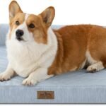 COZY KISS Cooling Dog Bed Orthopedic Foam Dog Bed with Sides