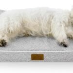 COZY KISS Orthopedic Dog Bed, for Medium Dogs up to 65 lbs, 36x24x5.5in