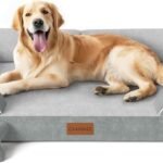 CWAWZ Extra Large Dog Bed, Orthopedic Dog Bed with Cooling Gel Memory Foam, Waterproof XL Pet Bed with Removable Washable Cover, 42″ Pet Sofa Couch Dutch Velvet with Bone Toy, Light Gray