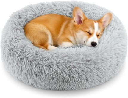Calming Donut Dog and Cat Bed for Indoor Cats, Anti-Anxiety Round Fluffy Soft Washable Small Pet Bed for Puppy and Kitten, Warming Comfortable Luxury Anti-Slip Waterproof Mute Base 20in Gray