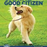 Canine Good Citizen: The Official AKC Guide, 2nd Edition: Ten Essential Skills Every Well-Mannered Dog Should Know (CompanionHouse) How to Train, Practice, and Pass the American Kennel Club’s CGC Test