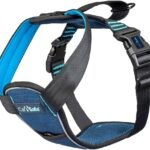 CarSafe Crash Tested Dog Safety Harness | Size M