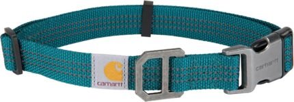 Carhartt Dog Collar Shaded Spruce L