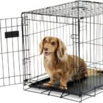 Carlson 24″ Small Single-Door Metal Dog Crate, Black