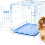 Carlson Pet Products Carlson Compact and Secure Deluxe Blue Metal Dog Crate, Blue