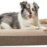 Casper Dog Bed, Plush Memory Foam, Medium, Sand