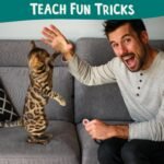 Cat Training Kit Quiet Clicker + Target Stick + Pouch + Guide - Image 2