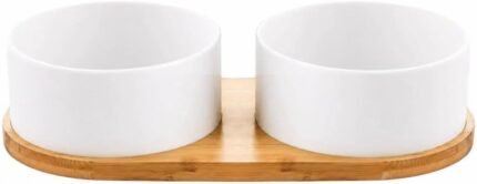 Ceramic Small Dog and Cat Bowls-Set of 2 Pet Dishes with Non-Slip Wood Tray