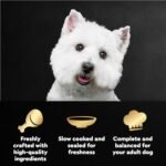 Cesar Mini-Pouch Wet Dog Food, Filet Variety Pack, 1.76 oz, 40 Count - Image 2