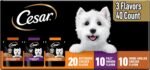 Cesar Mini-Pouch Wet Dog Food, Filet Variety Pack, 1.76 oz, 40 Count
