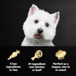 Cesar Simply Crafted Wet Dog Food Toppers Variety, 1.3 oz, 8 Count, 2-Pack - Image 2