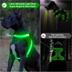 ChalkLit Light Up Dog Harness, No Pull Led Dog Harness Glow-in-The-Dark for Night Walking, USB Rechargeable Lighted Safety Vest for Medium Large Dogs, Adjustable Soft Mesh Fully Illuminated (Green, M) - Image 2