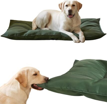 Chew Proof Indestructible Dog Bed,Medium (22″x35″),Green